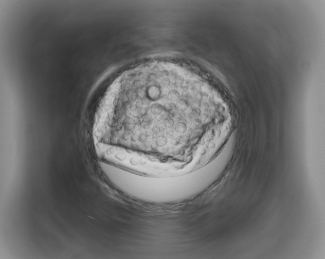 X0000115161400200911241539