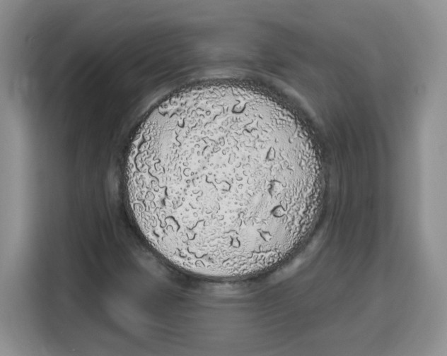 X0000115161401200911241539