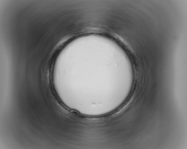 X0000115161402200911241539