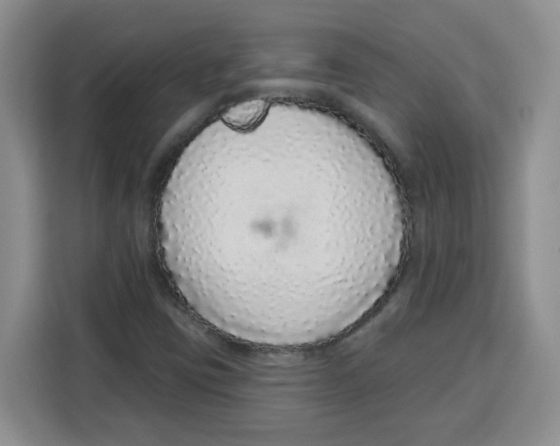 X0000115161403200911241539