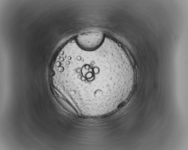 X0000115161404200911241539