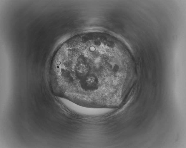 X0000115161405200911241539