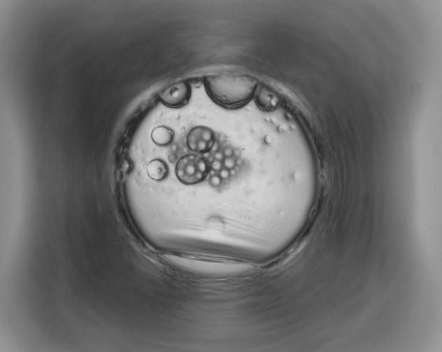 X0000115161406200911241539