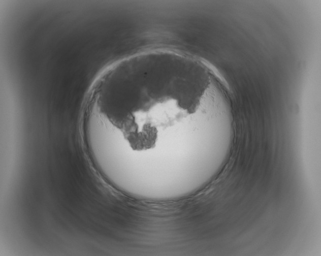 X0000115161408200911241540