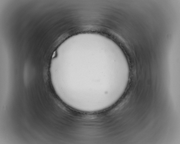 X0000115161409200911241540