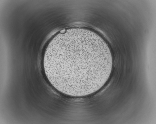 X0000115161410200911241540