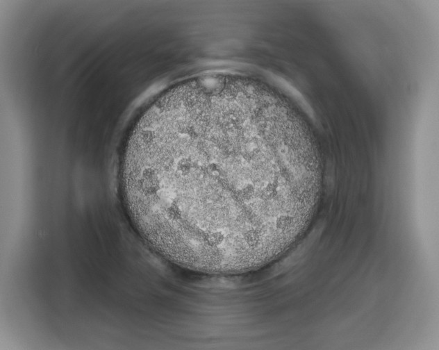 X0000115161411200911241540