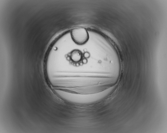 X0000115161412200911241540