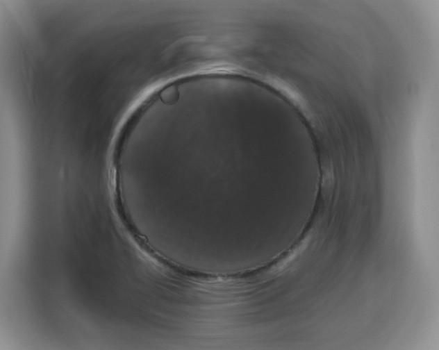 X0000115161414200911241540