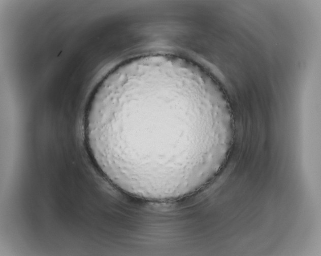 X0000115161415200911241540