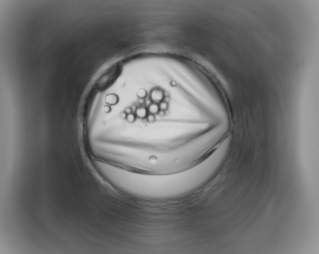 X0000115161416200911241540