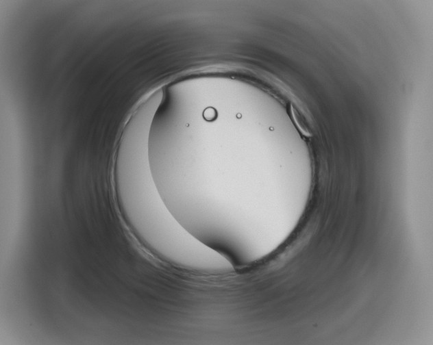 X0000115161417200911241540