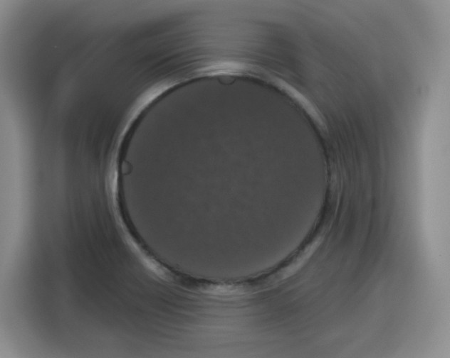 X0000115161418200911241540