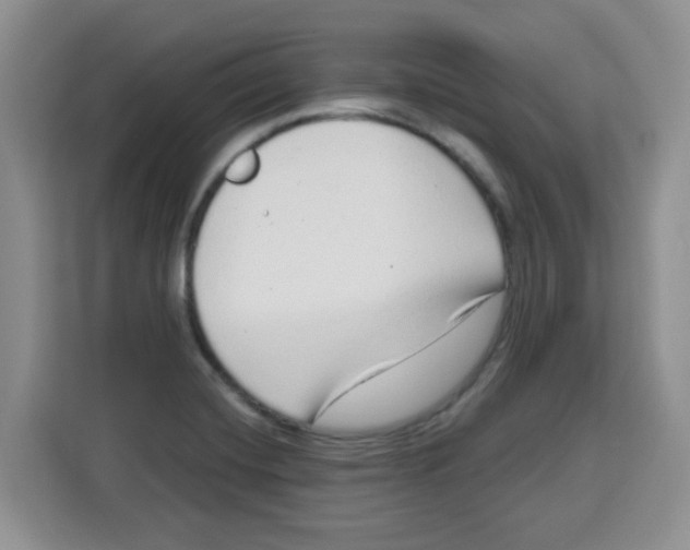 X0000115161420200911241540