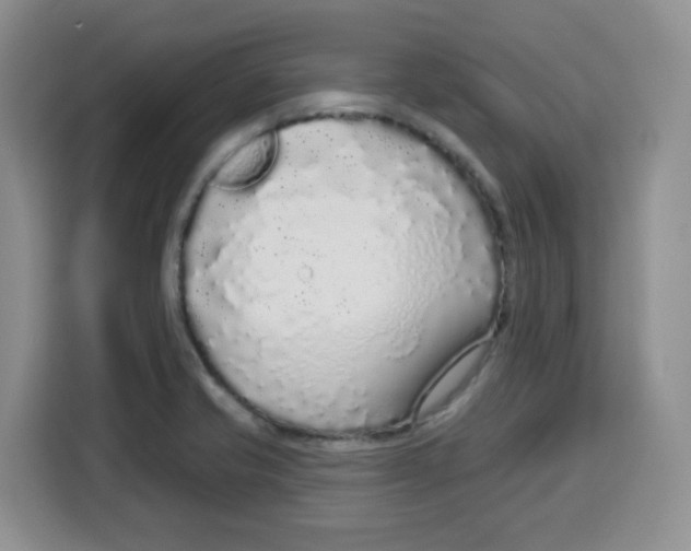 X0000115161421200911241540