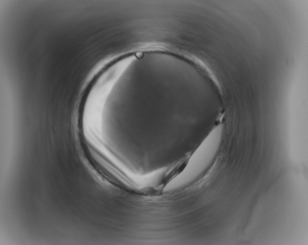 X0000115161422200911241540