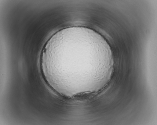 X0000115161423200911241540