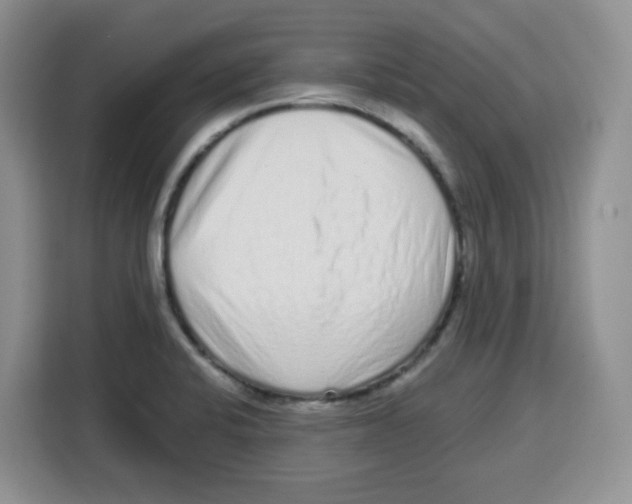 X0000115161424200911241540