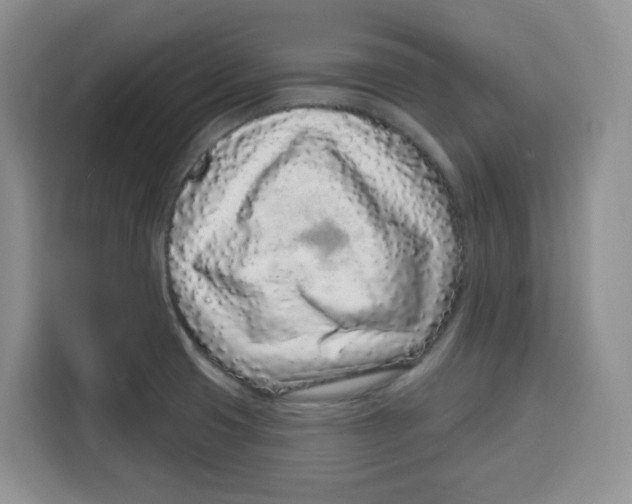 X0000115161425200911241540