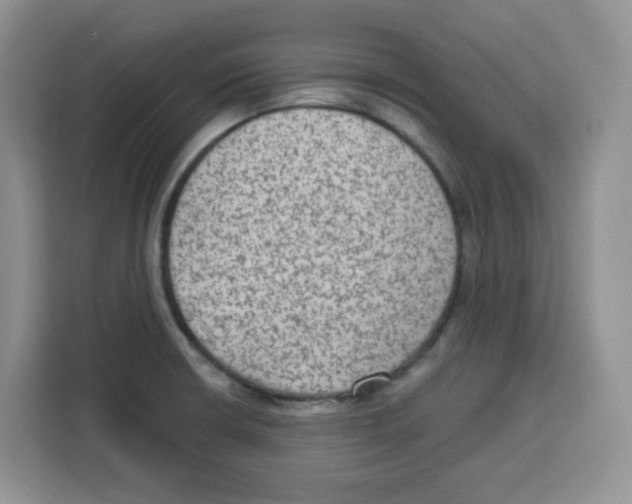 X0000115161426200911241540