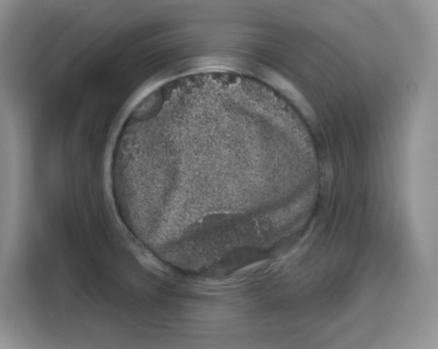 X0000115161427200911241540