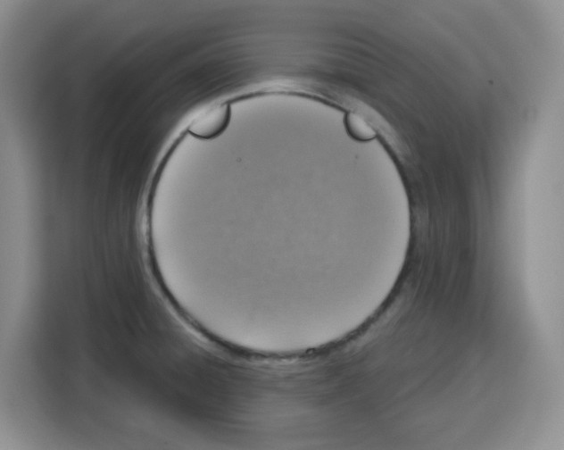 X0000115161428200911241540