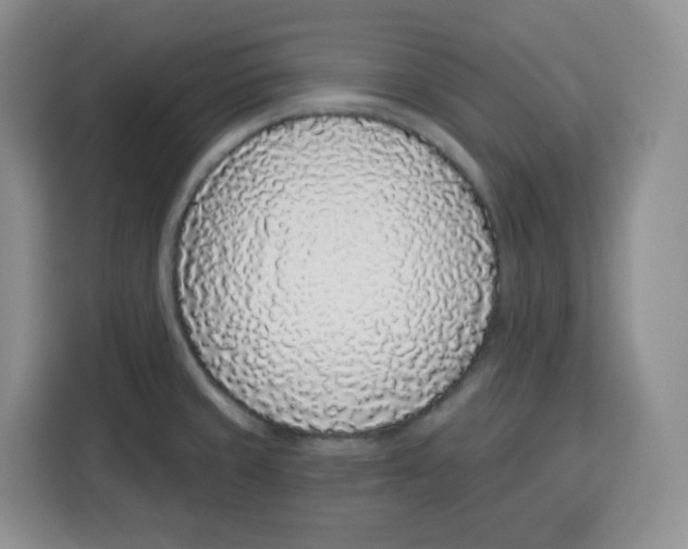 X0000115161429200911241540