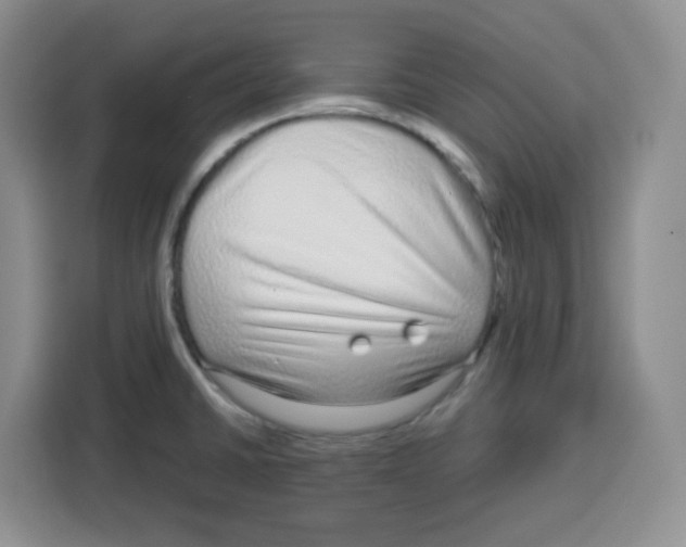 X0000115161430200911241540