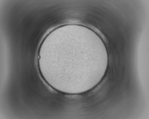 X0000115161432200911241540