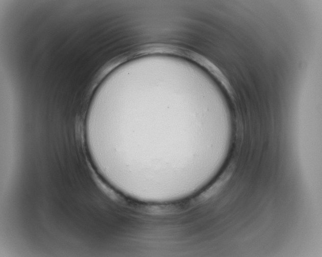 X0000115161433200911241540