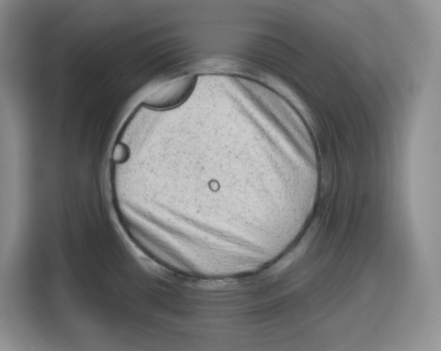 X0000115161434200911241540