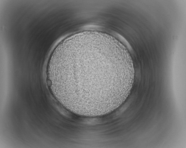 X0000115161435200911241540