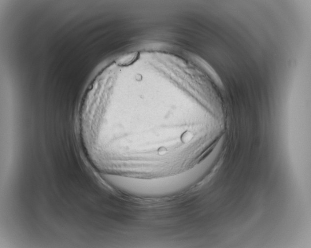 X0000115161436200911241540