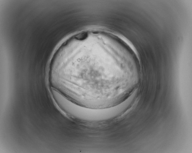 X0000115161437200911241540