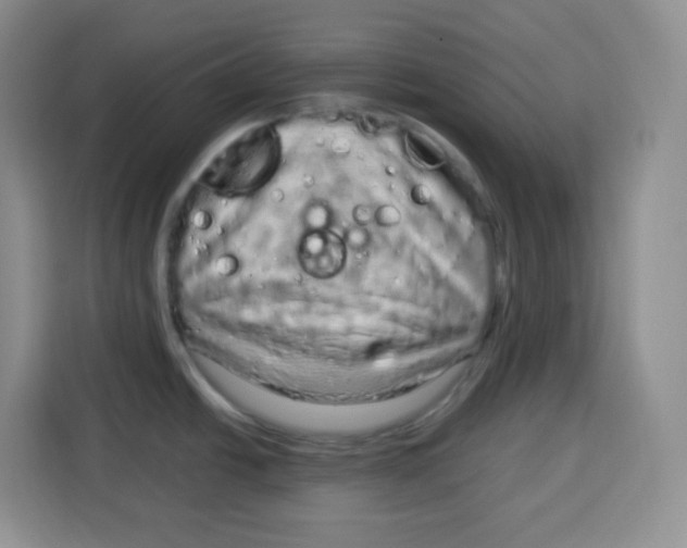 X0000115161438200911241540