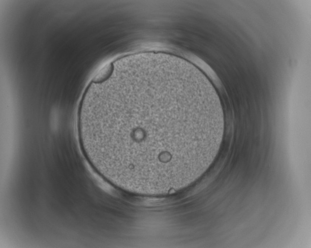 X0000115161439200911241540