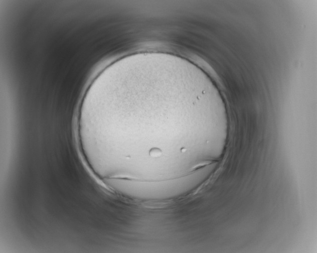 X0000115161440200911241540