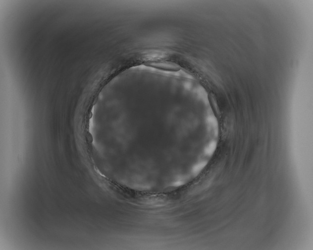 X0000115161441200911241539