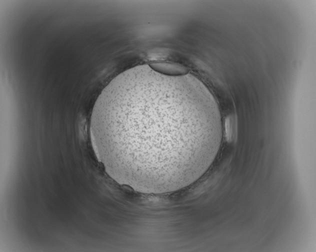 X0000115161443200911241539