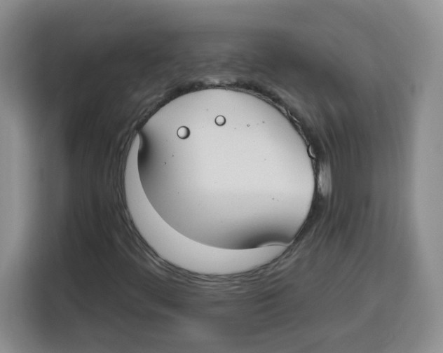 X0000115161444200911241539