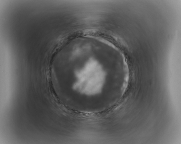 X0000115161445200911241539