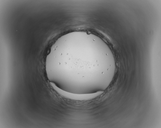 X0000115161447200911241539