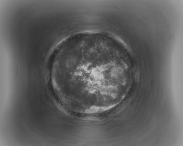 X0000115161448200911241539