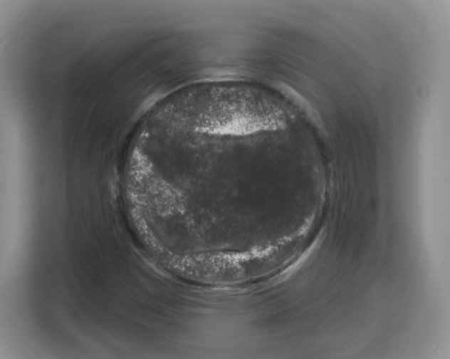 X0000115161449200911241539