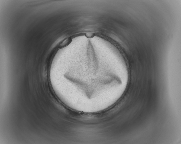 X0000115161450200911241539