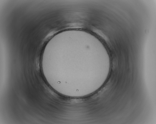 X0000115161451200911241539