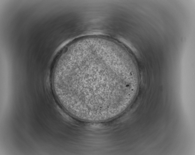 X0000115161452200911241539