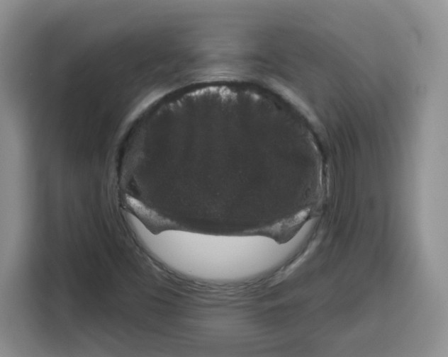 X0000115161453200911241539