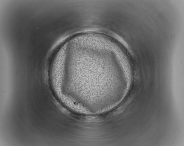 X0000115161456200911241539