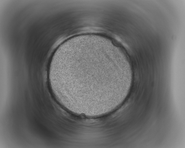 X0000115161459200911241539